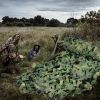 4X6M Camouflage Jagd Tarnnetz Bundeswehr Armee Army Tarnung Camo Hunter Net